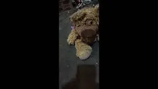 Chom lim y sus amigos captura a cremita