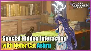 Special Hidden Interaction with Nefer Cat Ashru | Genshin Impact