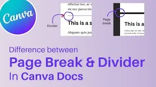 Difference Between Divider and Page Break in a Canva Doc