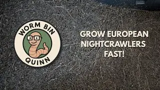 What I Feed My NIGHTCRAWLER WORMS for MAXIMUM Growth