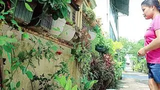 Minnie garden.dahil day off.. May time mag-ayos ng halaman./@madels9660