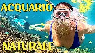 Il miglior snorkeling dell'Indonesia, le Gili dell'Est