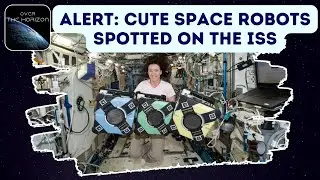 EXCLUSIVE: NASA Engineer On Space Robots Flying Around On The ISS