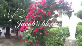 Jacob's Blessing