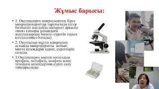 Митоз фазаларын пияз тамыры ұшындағы жасушаларынан қарап зерттеу Зертханалық жұмыстың 2 жағдайы