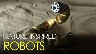 Robots Inspired By Nature
