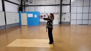 Extreme Ballroom Beginning/Interm. Waltz-Audition Prep Classes-Ladies part