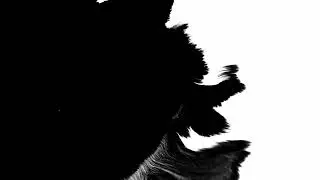 ink drop on white black background
