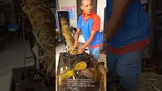 Traditional Fiber Processing: Making Natural Rope