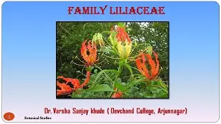 FAMILY LILIACEACE | Dr. Varsha Khude | Botanical Studies