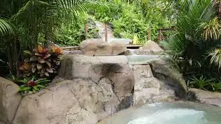 Chachagua rainforest hotel & hot springs