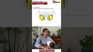 Teaser: Piles Demystified: Uncovering the Surgical Anatomy of Haemorrhoids