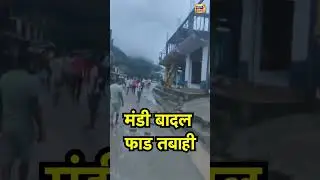Himachal News:  मंडी बादल फाड तबाही
