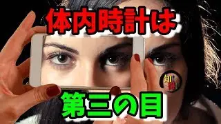 ◆知っ得◆雑学　体内時計のリセットは