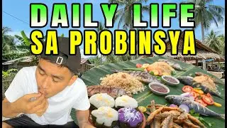 Daily Life in the Province