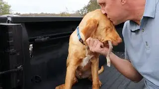 Saying goodbye to my blind puppy 😭
