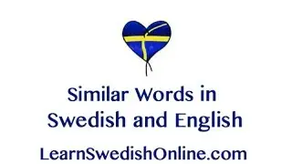 Simple Swedish Words - Similar Words in Swedish and English 2/3