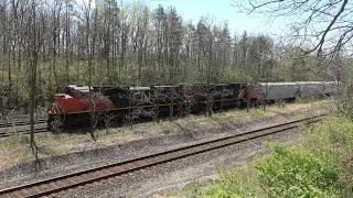 CN train 396 heads under old wood bridge at Denfield Rd. 300 axles, power by 8832 & 5600.