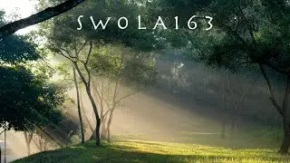 #swola163 - major edition
