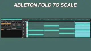 Using Ableton´s fold to scale function to write chords in Pentatonic Scale #ableton