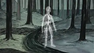Ty Maxon -  Blackwater Wood [Official Video]
