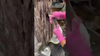 Healthy Hair Habits ✂️ #ndcollective #bleach #cosmetologystudent