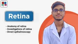 Anatomy of retina | Direct ophthalmoscopy | Investigations | Eye | Ophthalmology Bangla lecture