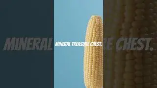 Corn Nutrition Facts #nutritionfacts #health #healthyliving #healthyfood #dietician