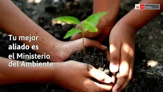 Cap&iacute;tulo 2 | Trabajemos por un ambiente limpio y sano