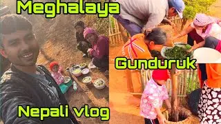SHILLONG MA PANE NEPALI HARU LA GUNDRUK BHANAUCHAN 🤠