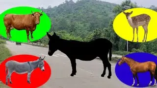 CUTE ANIMALS Game Cow, Horse, Donkey, Deer | Animals Video | Funny Animals Pazzuls Game | #animals |