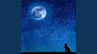 Howling wolves at night