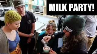 Milk Party | Cat & Cloud Coffee