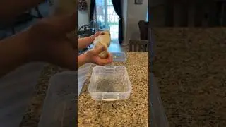 PIZZA-MAKING Process Part 1! #foodie #homemade #pizza #recipes #cooking #pizzalover #diy #tutorial
