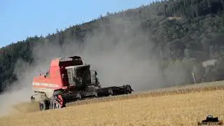 Žně/Harvest 2017 AgroVideos Team /FULLHD/