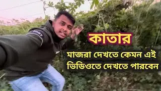 কাতার মাজরা দেখতে কেমন || এই ভিডিওতে দেখতে পারবেন