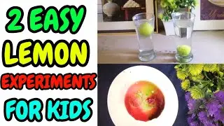 2 Easy Lemon Experiments For Kids To Do At Home || Easy Science Experiments For Kids