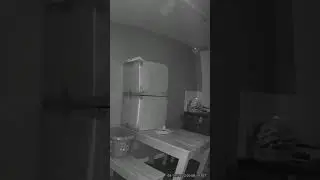 real ghost orb #caughtoncamera #myhouseishaunted👻365