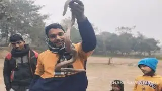असली में दो मुंह वाला सांप आज पकड़ाया है ||Indian red sand boa snake ||
