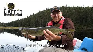 À l'affût: Maskinongé