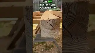 Ring Shake