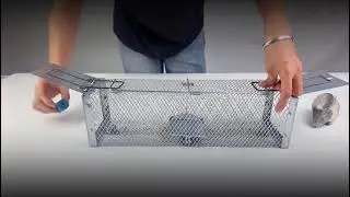 Haierc Double Door Mouse/Rat Trap Cage HC2601D #rodentcontrol #pestcontrol #mousetrap #cagetrap