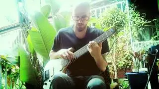 Vincent Denis - Fragile (Cover)