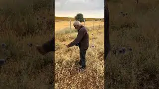 Öncesi hüzün arkası neşe devamı mutluluk ♥️♥️♥️
