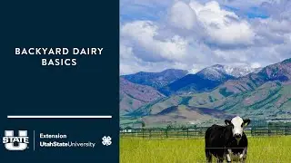 Backyard Dairy Basics