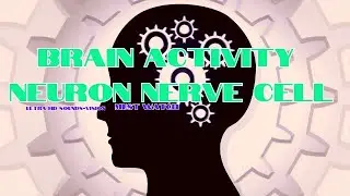 #1 Frequency of the Universe | Romeo Alpha 129Hz-141Hz | Brain Development | Neuron Nerve Cell |