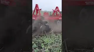 Дисковая борона 