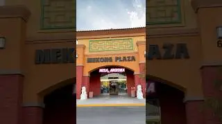 Reviewing The Mekong Plaza in Arizona! #asianfood #shorts #shopping #arizona