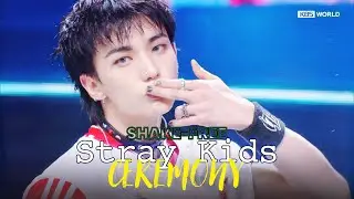 [SHAKE FREE] Stray Kids ストレイキッズ 스트레이키즈 - CEREMONY | KBS WORLD TV 250829