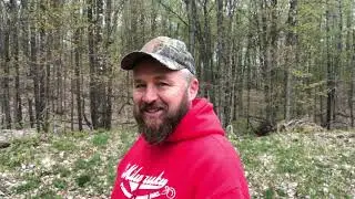 Danger in the woods #lymedisease #deerticks #woodticks